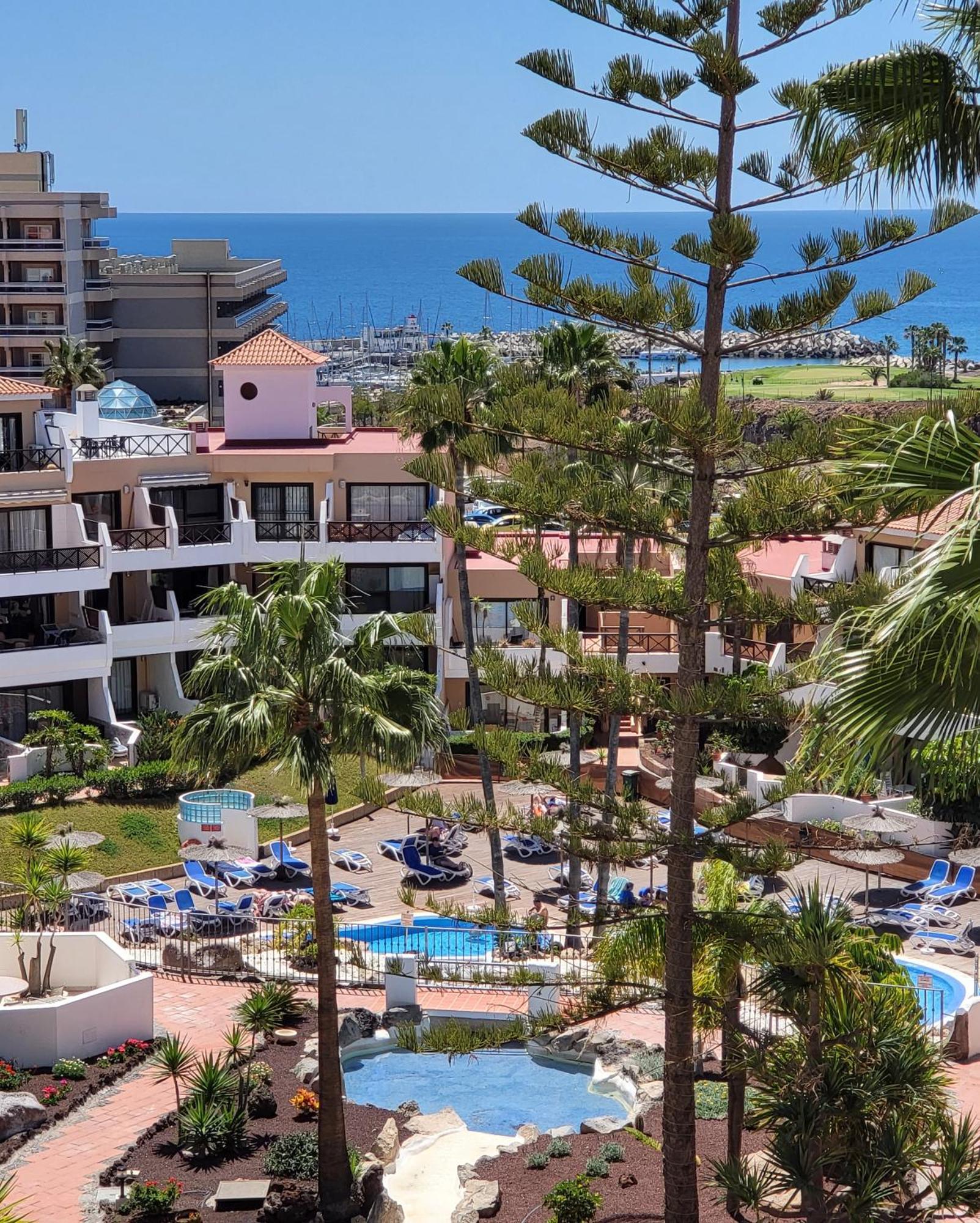 Lovely Apartment Top Views, Heated Pool, Great Location San Miguel de Abona Eksteriør billede