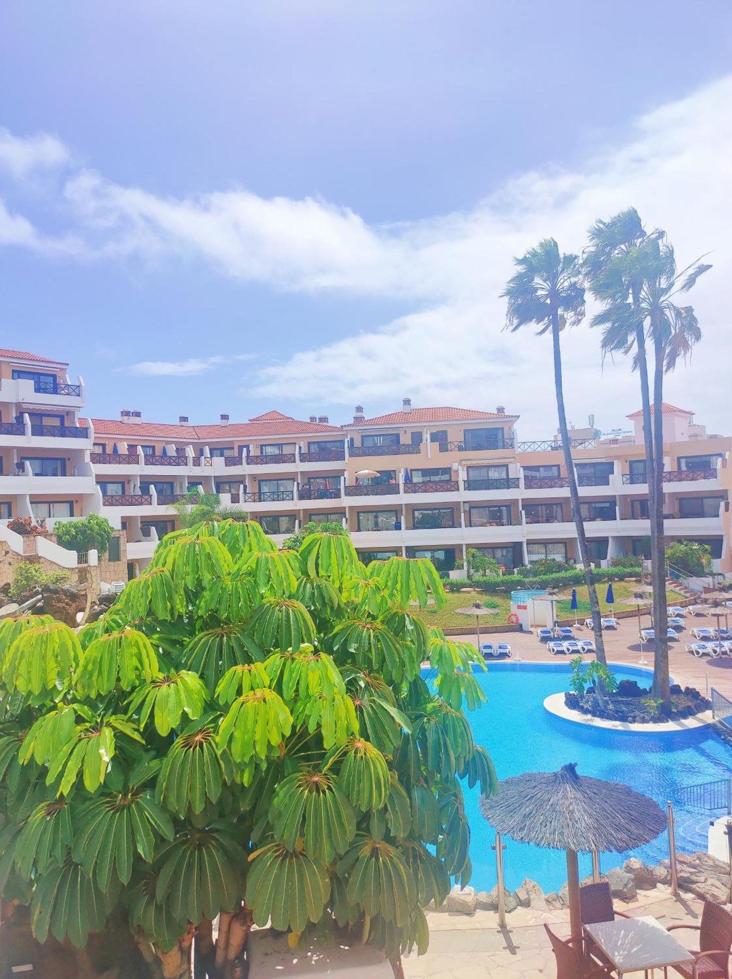 Lovely Apartment Top Views, Heated Pool, Great Location San Miguel de Abona Eksteriør billede