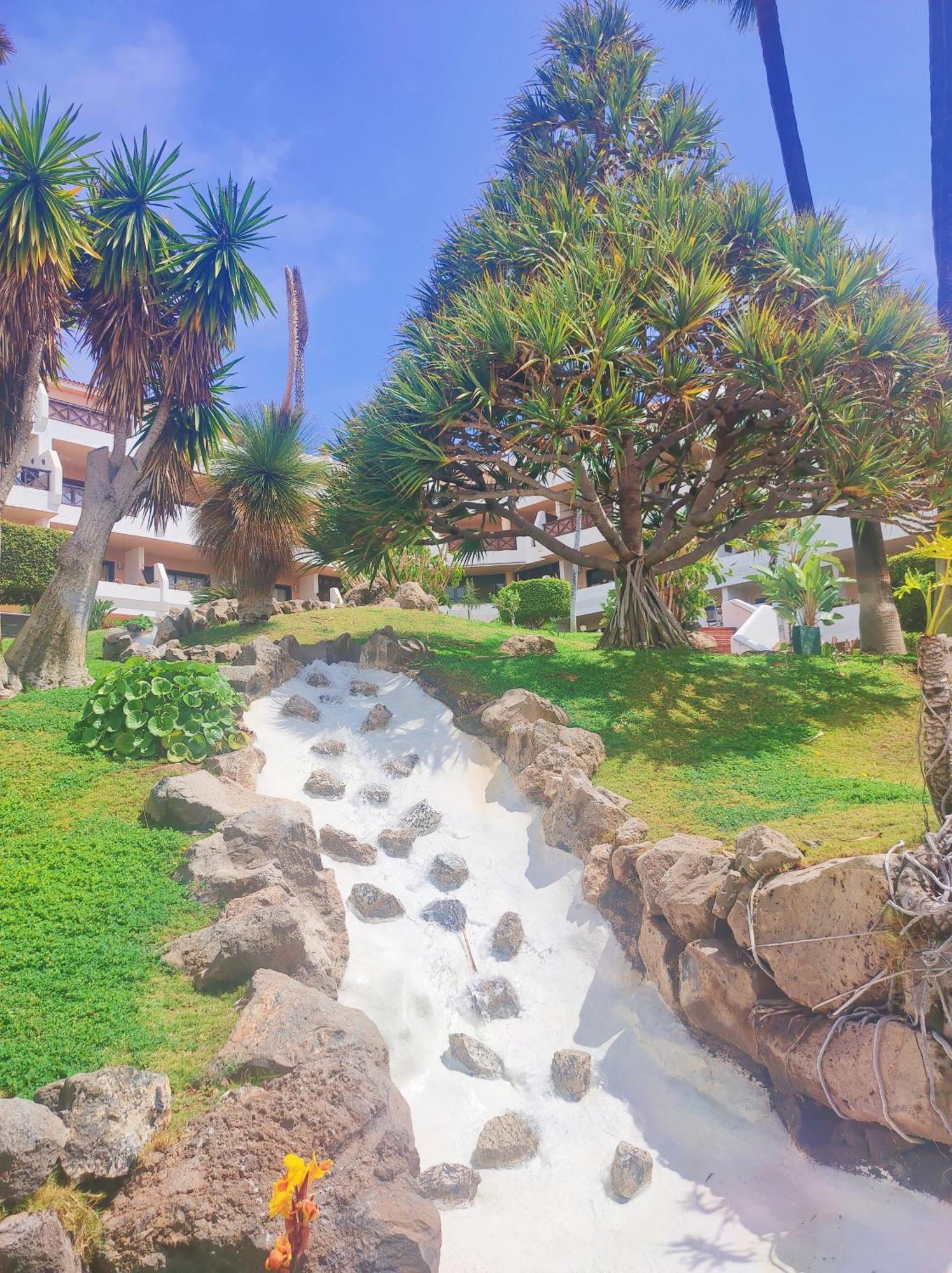 Lovely Apartment Top Views, Heated Pool, Great Location San Miguel de Abona Eksteriør billede